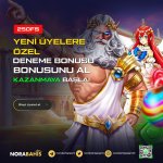 NORABAHİS 250 FREESPİN DENEME BONUSU.jpg